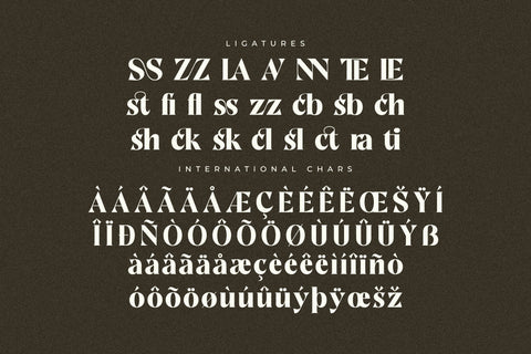 Gratina Typeface Font Storytype Studio 