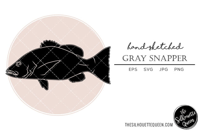 Gray Snapper Hand sketched, hand drawn vector clipart SVG Loveleen Kaur 