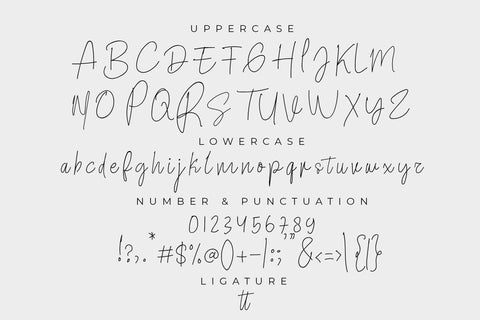 Great Signature Font LetterdayStudio 