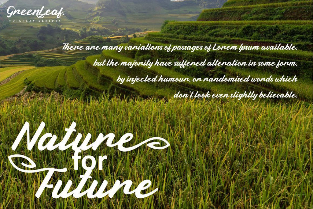 Green Leaf - Display Script - So Fontsy