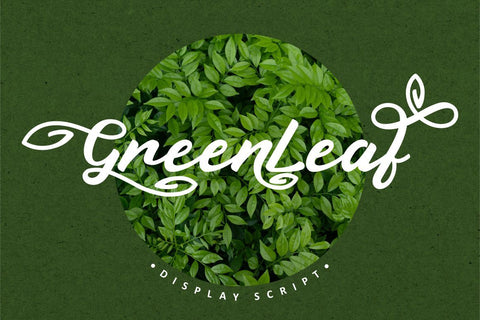 Green Leaf - Display Script Font PutraCetol Studio 