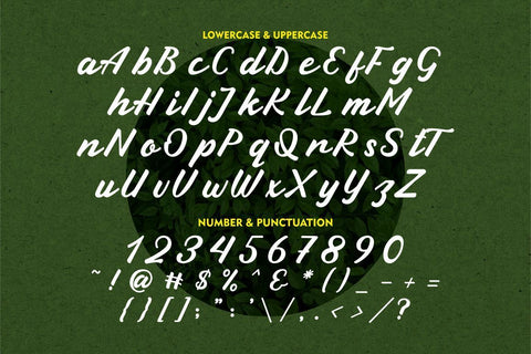 Green Leaf - Display Script Font PutraCetol Studio 