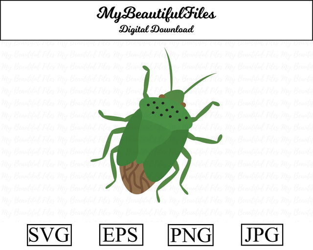 green stink bug - insect SVG MyBeautifulFiles 