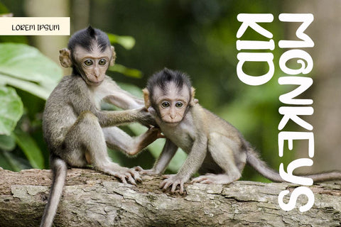 Grefy Font twinletter 