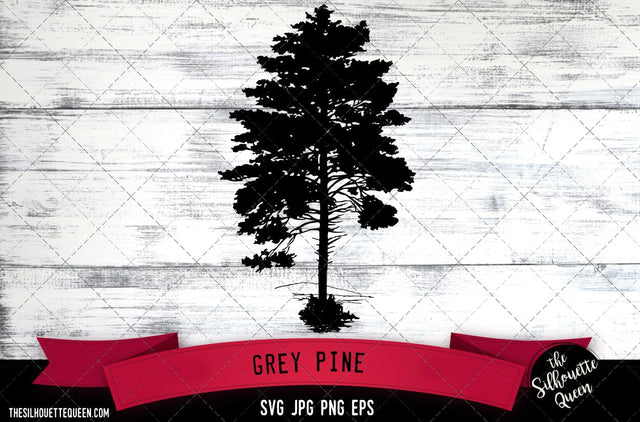 Grey Pine SVG -Vector Art Commercial & Personal Use- Cricut,Silhouette,Cameo,Vinyl Cut SVG Loveleen Kaur 