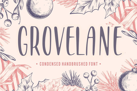 GROVELANE Condensed Handbrushed Font Font Balpirick 