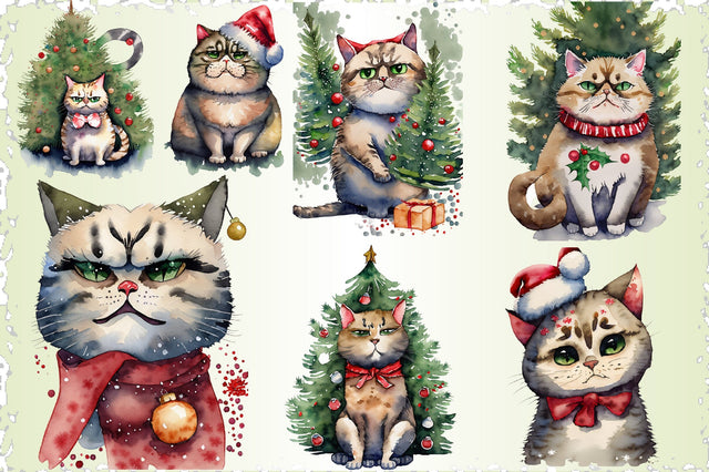 Grumpy Christmas Cat Sublimation Bundle Sublimation Creativeart88 