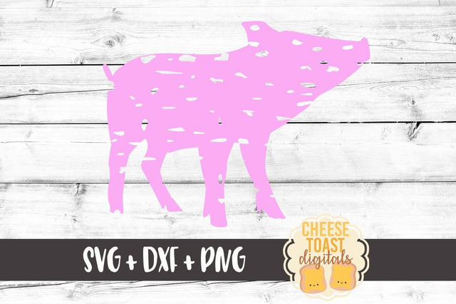 Grunge Pig Silhouette SVG Cheese Toast Digitals 