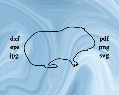 Guinea Pig Outline SVG Cut File SVG Northern Light SVG 