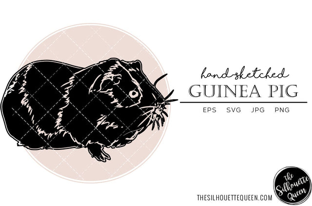 Guinea Pig Sketch Vector SVG Loveleen Kaur 