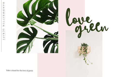 Hachiko - Handwritten Font Font Dm Letter Studio 