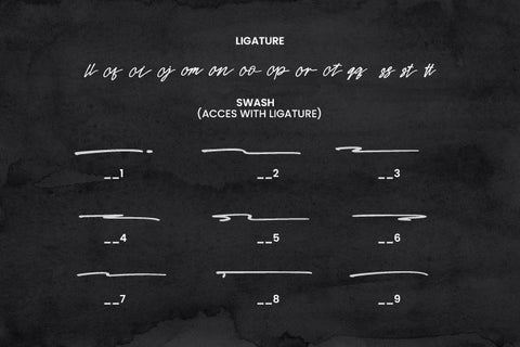 Hadvenly Signature Font Irvan Randi 