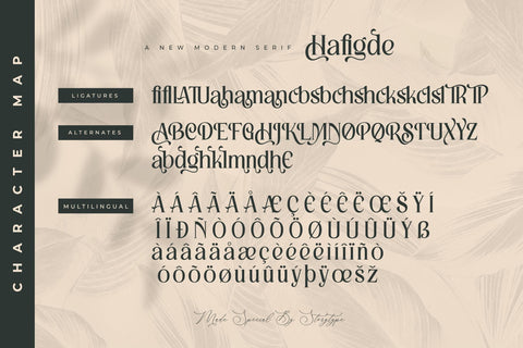 Hafigde Typeface Font Storytype Studio 