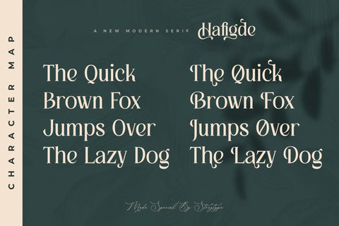 Hafigde Typeface Font Storytype Studio 