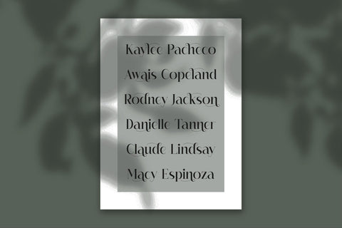 Hagmolya Typeface Font Storytype Studio 