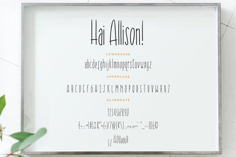 Hai Allison Fun Display Font Font Creatype Studio 