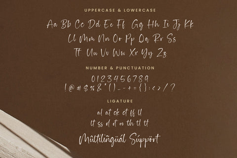 Haiden Smith - Stylish Script font Font Timur type 