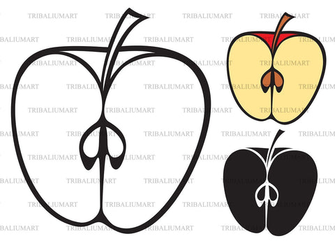 Half apple SVG TribaliumArtSF 