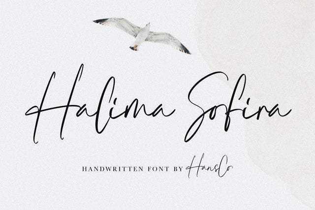 Halima Sofira Font Hans Co 