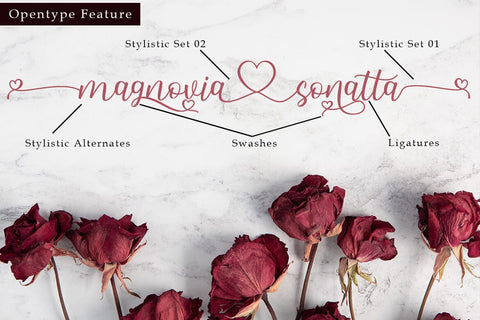 Hallo Carthy Font Madatype Studio 