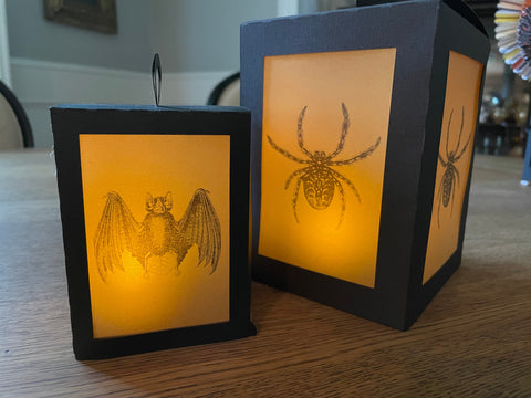 Halloween Lantern Home Decor SVG Sharia Morton Designs 