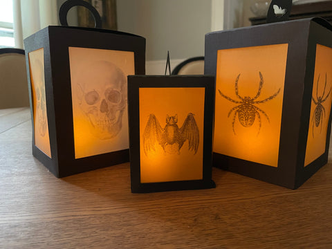 Halloween Lantern Home Decor SVG Sharia Morton Designs 