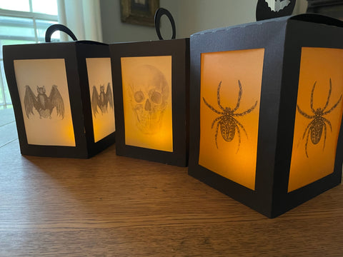 Halloween Lantern Home Decor SVG Sharia Morton Designs 