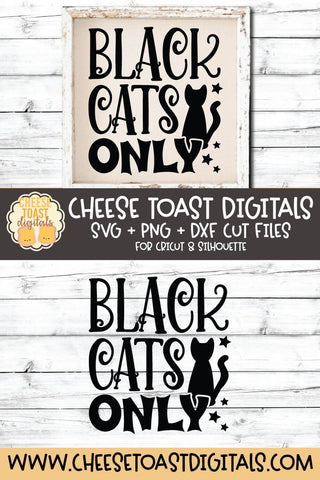 Halloween SVG | Black Cats Only SVG Cheese Toast Digitals 