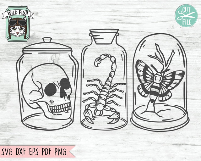 Halloween SVG File, Witchy SVG File, Skull SVG File, Moth SVG, Scorpion SVG File, Sugar Skull SVG, Specimen Jar SVG, Halloween Cut File SVG Wild Pilot 