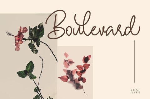 Hallywood - Handwritten Script Font Font StringLabs 