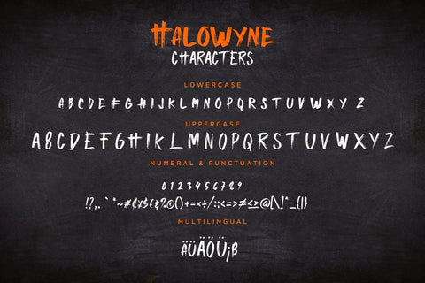 Halowyne Handdrawn Brush Font Creatype Studio 
