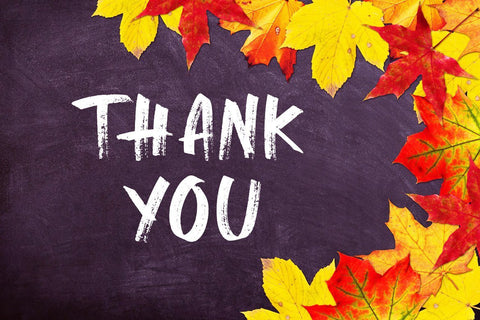 Halowyne Handdrawn Brush Font Creatype Studio 