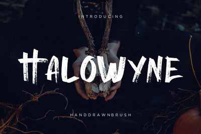Halowyne Handdrawn Brush Font Creatype Studio 