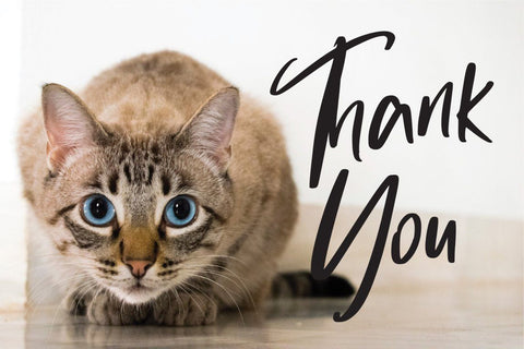 Haltmoon Font Vultype Co 