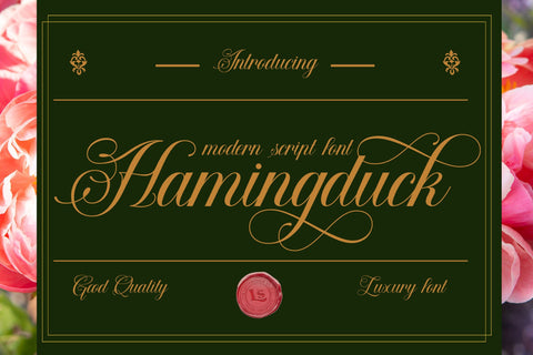 Hamingduck Font letterstockstd 