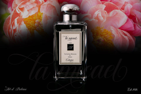 Hamingduck Font letterstockstd 