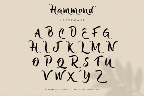 Hammond - Elegant Display Font Font Alpaprana Studio 