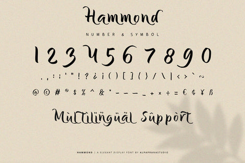 Hammond - Elegant Display Font Font Alpaprana Studio 