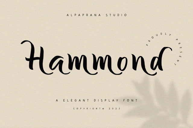 Hammond - Elegant Display Font Font Alpaprana Studio 