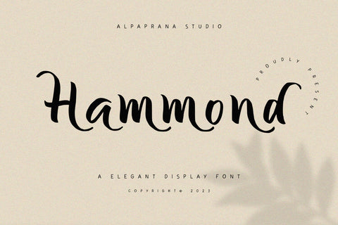 Hammond - Elegant Display Font Font Alpaprana Studio 