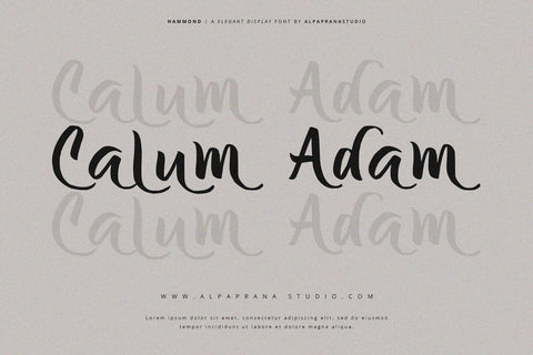 Hammond - Elegant Display Font Font Alpaprana Studio 
