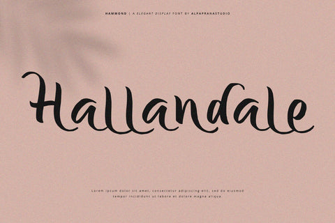 Hammond - Elegant Display Font Font Alpaprana Studio 