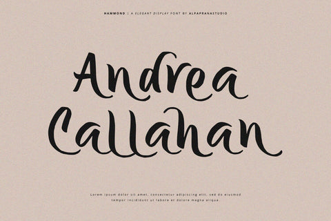 Hammond - Elegant Display Font Font Alpaprana Studio 
