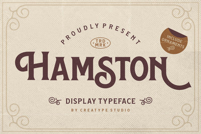 Hamston Display Vintage Font Creatype Studio 