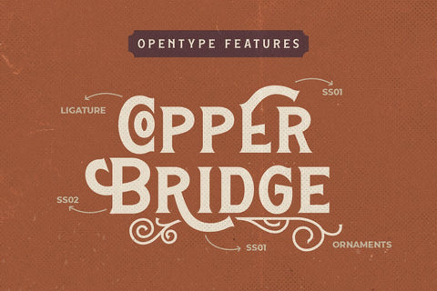 Hamston Display Vintage Font Creatype Studio 