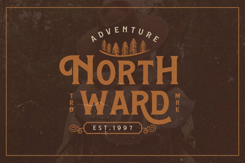 Hamston Display Vintage Font Creatype Studio 