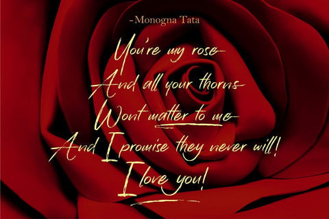 Han Le Tours Font Allouse.Studio 