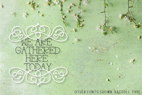 Hand Drawn Ornament Font - Perfect Flourishes For Your Designs! Font CraftyLittleNodes 