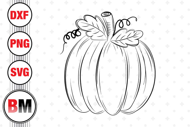 Hand Drawn Pumpkin SVG, PNG, DXF Files SVG BMDesign 