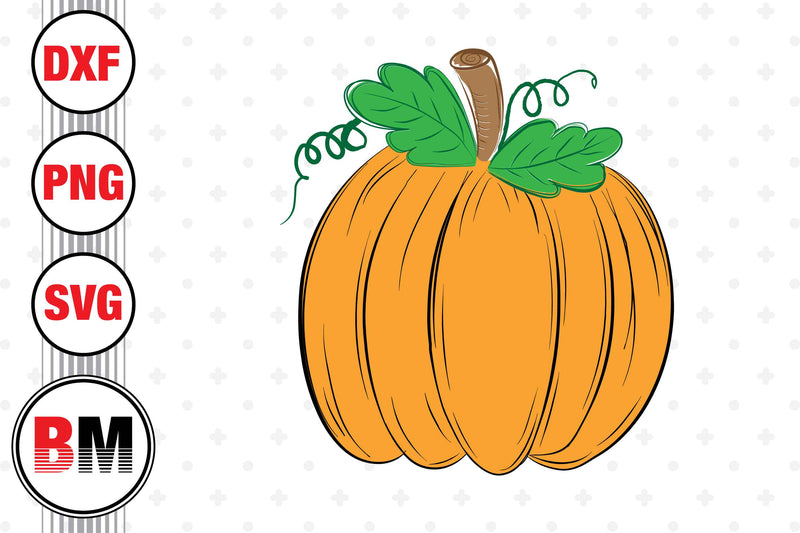 Hand Drawn Pumpkin SVG, PNG, DXF Files SVG BMDesign 